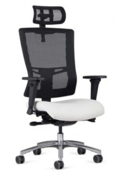 Affirm Executive High Back Tasker