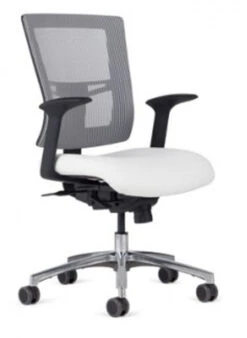 Affirm Management Mid Back Tasker