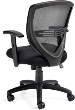 Mesh Back Managers Chair -Desk Elegant Shop 3 20453.1437494097