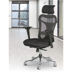 Ergo Ex Executive Chair -Desk Elegant Shop 455e235db9d14 03 79144.1477923127