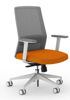 Bodi Synchro-Tilt Ergonomic Task Chair