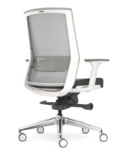 Zilo Grey Mesh White Frame Ergonomic Task Chair 17 Zilo Grey Mesh White Frame Ergonomic Task Chair -Desk Elegant Shop AMQ ZILO Z 001 CC.5S25 6R 52220.1645540648