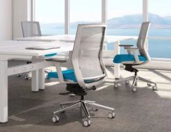 Zilo Grey Mesh White Frame Ergonomic Task Chair 21 Zilo Grey Mesh White Frame Ergonomic Task Chair -Desk Elegant Shop AMQ Zilo Room Detail 49827.1645540691