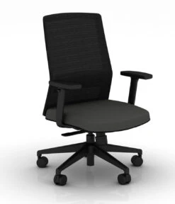 Bodi Synchro-Tilt Ergonomic Task Chair -Desk Elegant Shop BODI Black graphite 1 89563.1688759792