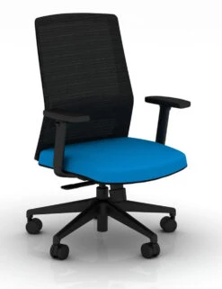 Bodi Synchro-Tilt Ergonomic Task Chair -Desk Elegant Shop BODI Black sky blue 1 75803.1688759792
