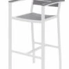 Eveleen Aluminum Frame Stool -Desk Elegant Shop BR5601 WH GY 34648.1582037309