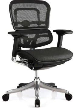 Ergo Elite Mesh Executive