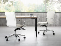 Niles Mid-Back Conference Chair -Desk Elegant Shop Nile Env Conference 3 03022020 58590.1615956530