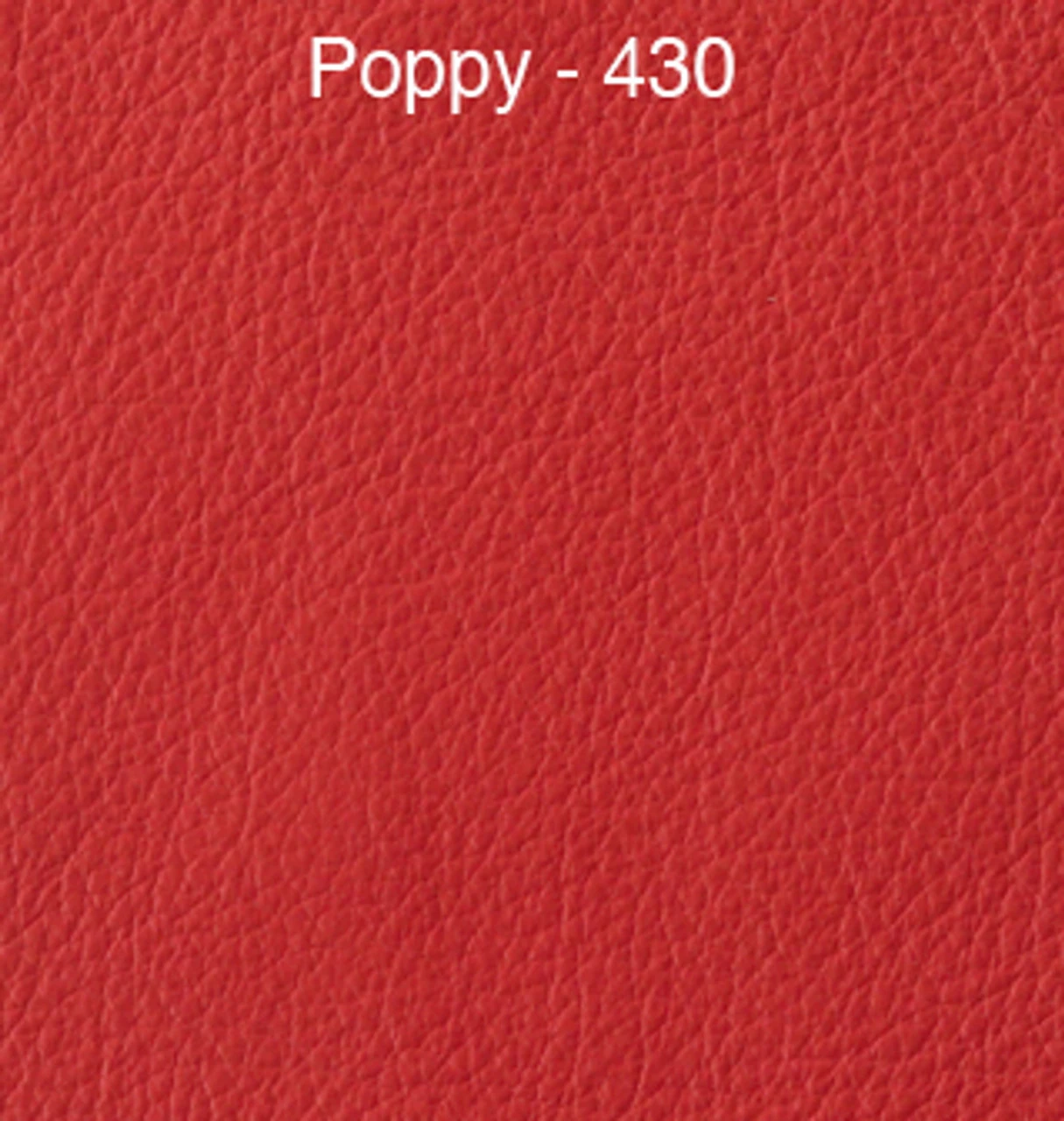 CXO Leather Executive Chair 6 CXO Leather Executive Chair - Image 4