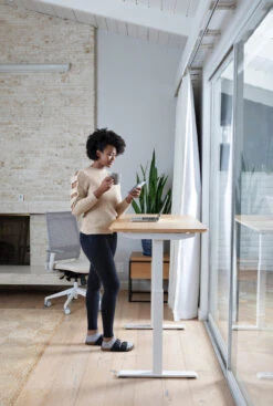 Switchback WFH Height Adjustable Desk 15 Switchback WFH Height Adjustable Desk -Desk Elegant Shop Switchback WFH PDP Gallery 1 HighRes 1 86740.1650900894