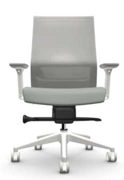 Zilo Grey Mesh White Frame Ergonomic Task Chair 15 Zilo Grey Mesh White Frame Ergonomic Task Chair -Desk Elegant Shop ZiloWHTBuzzAlpine2 08994.1645540373