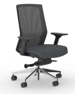 Zilo Ergonomic Task Chair All Black Frame -Desk Elegant Shop Zilo 45 B Graphite 40596.1688758402