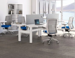 AMQ Zilo Grey Mesh White Frame Ergonomic Task Chair 22 AMQ Zilo Grey Mesh White Frame Ergonomic Task Chair -Desk Elegant Shop Zilo Room 1 38668.1688759523