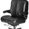Big Sur Big & Tall 24/7 Executive Chair W/ Seat Slider -Desk Elegant Shop big sur 18697.500.659 15452.1436553682