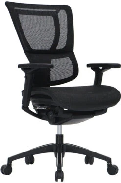IOO Executive Mesh Synchro-Tilt Back Chair -Desk Elegant Shop black 01708.1436555485