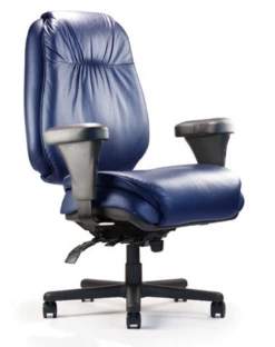 BTC Big & Tall 24/7 Extra Large Back Executive