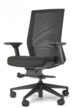 Zilo Ergonomic Task Chair All Black Frame -Desk Elegant Shop cross 160603 AMQ 24543 v2BLKBASE 43808.1688758401