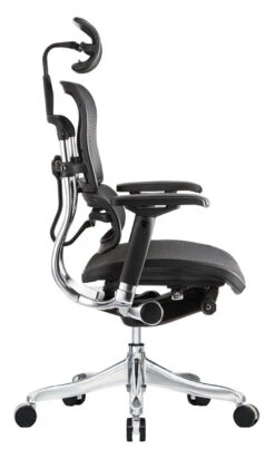 Ergo Elite High Back Executive -Desk Elegant Shop ergoelite me22erglt side 41521.1435586577