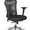 Ergo Ex Executive Chair -Desk Elegant Shop ergoex 44529.1646324230