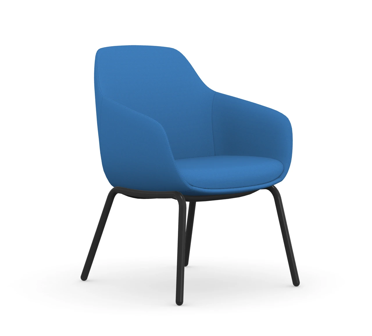 Lily 4 Legged Guest 7 Lily 4 Legged Guest - Image 5