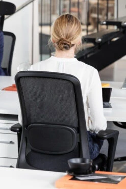 HAG SoFi Mesh Executive Task Carbon Black -Desk Elegant Shop ocusa.HAG SoFi mesh.ppt 22635.1671119654