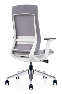 Elevate Executive Task Chair White Frame 11 Elevate Executive Task Chair White Frame -Desk Elegant Shop ocusa.evl 001grey white back angle 38518.1580923687