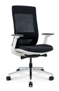 Elevate Executive Task Chair White Frame 9 Elevate Executive Task Chair White Frame -Desk Elegant Shop ocusa.mesp8fFA 45325.1580968435