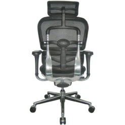 Ergohuman Leather Mesh High Back Executive 7 Ergohuman Leather Mesh High Back Executive -Desk Elegant Shop ocusa 2276 lem4erglo rear 90154.1435581898