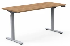 OTG Height Adjustable Table