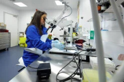 HAG Ultrasound Puls Capisco For Healthcare / 5 Day Express Ship -Desk Elegant Shop pulslab2 2 94567.1666900216