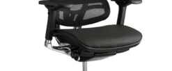 Ergo Elite Mesh Executive -Desk Elegant Shop raynor ergo elite chair 920x380 32069.1435587451