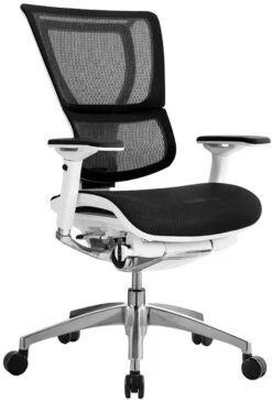 IOO Executive Mesh Synchro-Tilt Back Chair