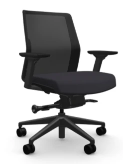 Zilo Ergonomic Task Chair All Black Frame -Desk Elegant Shop ziloMidGraphiteADJ 16520.1688758402